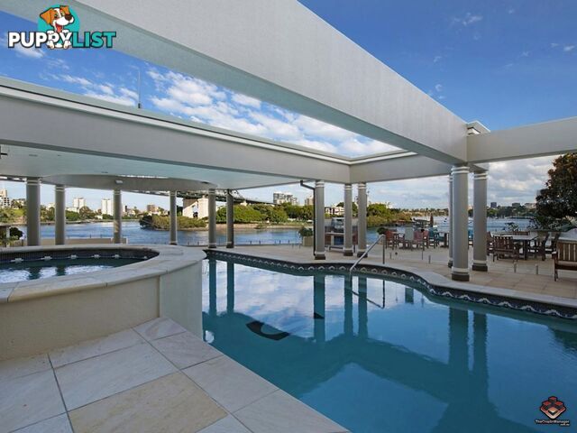 ID:3888769 32 Macrossan Street Brisbane City QLD 4000
