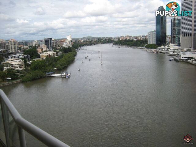 ID:3888769 32 Macrossan Street Brisbane City QLD 4000