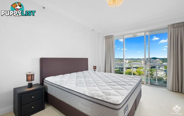 ID:3888769 32 Macrossan Street Brisbane City QLD 4000