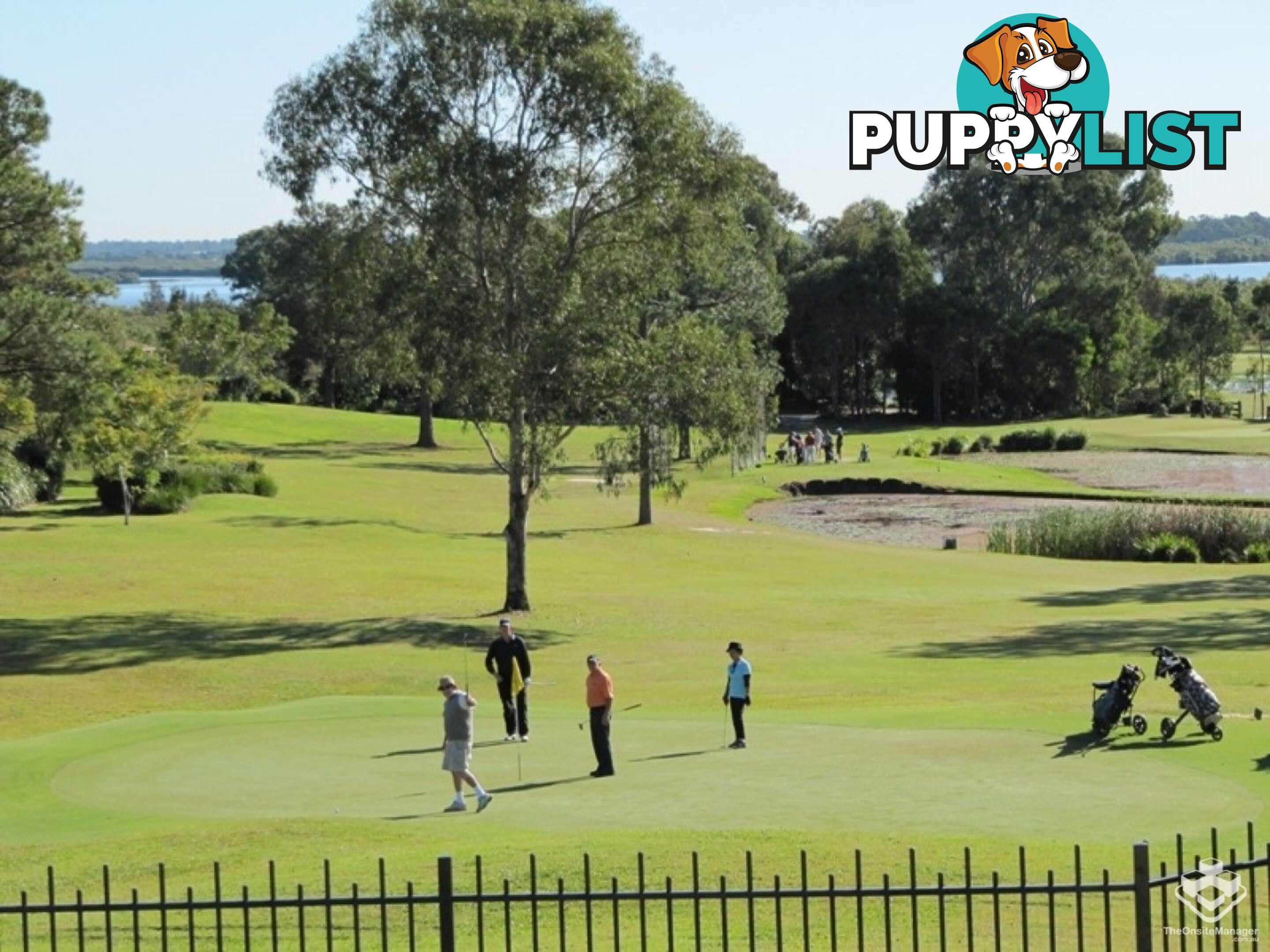 ID:21154526 433 Brisbane Road Arundel QLD 4214