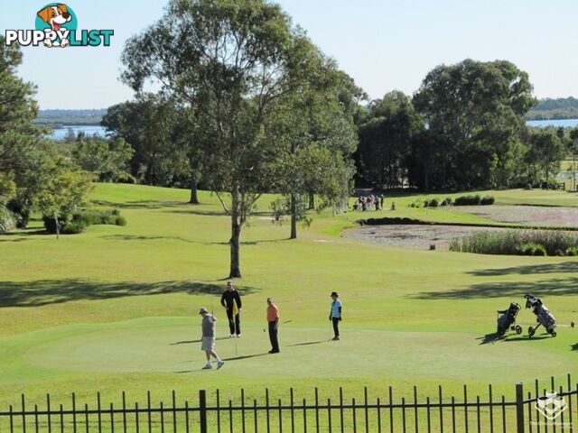ID:21154526 433 Brisbane Road Arundel QLD 4214