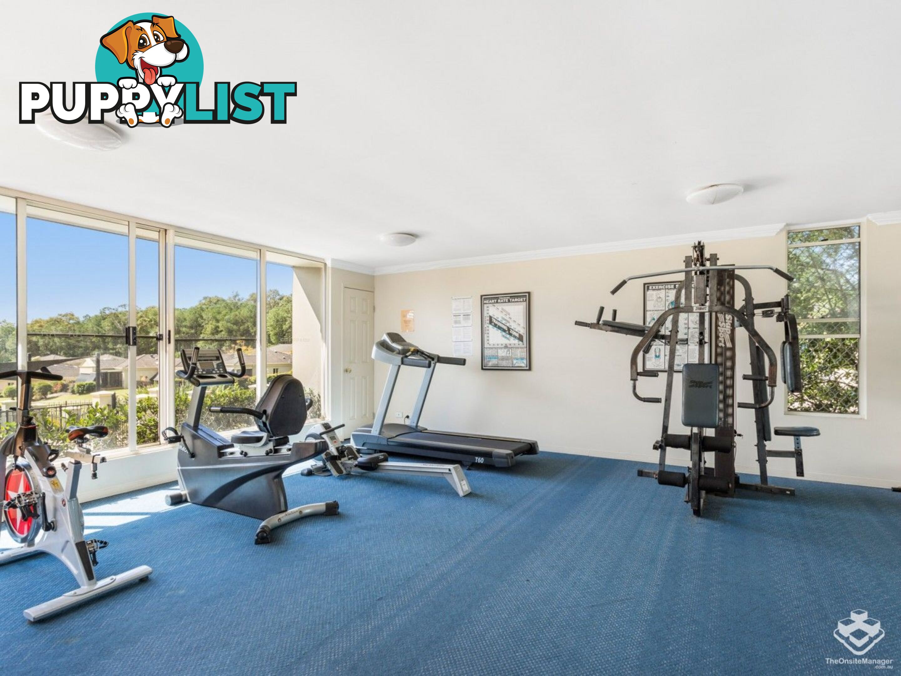 ID:21154526 433 Brisbane Road Arundel QLD 4214