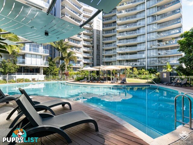 ID:21156466 9 Pidgeon Close West End QLD 4101