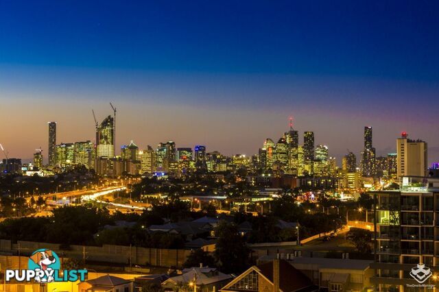 ID:21157309 17 Carl Street Woolloongabba QLD 4102