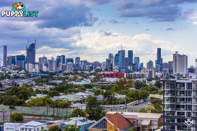 ID:21157309 17 Carl Street Woolloongabba QLD 4102