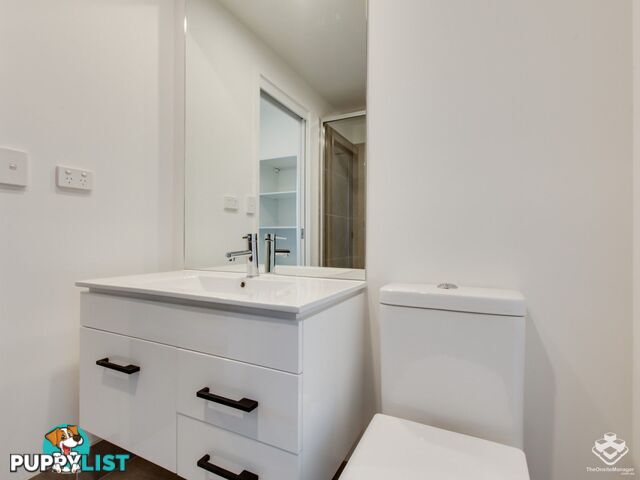 ID:21155229 22 Andrews Street Cannon Hill QLD 4170