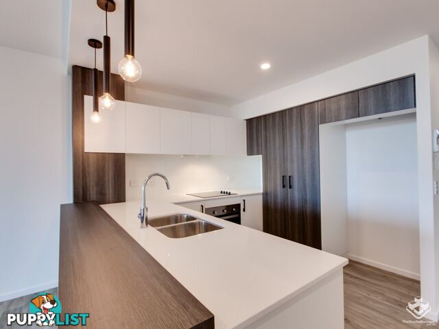ID:21155229 22 Andrews Street Cannon Hill QLD 4170
