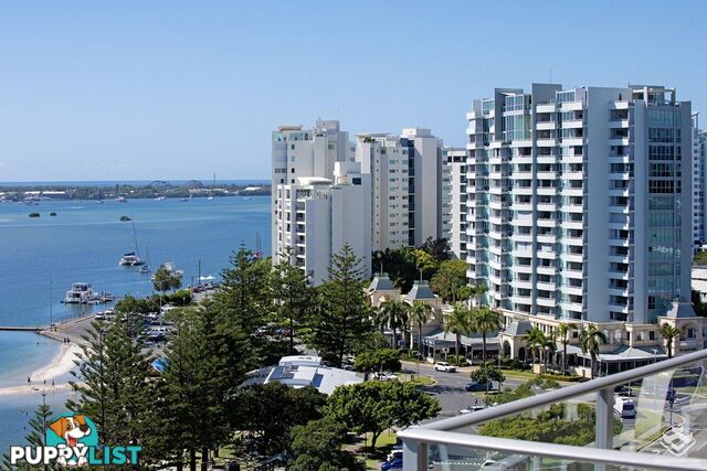 1203/378 Marine Parade Labrador QLD 4215