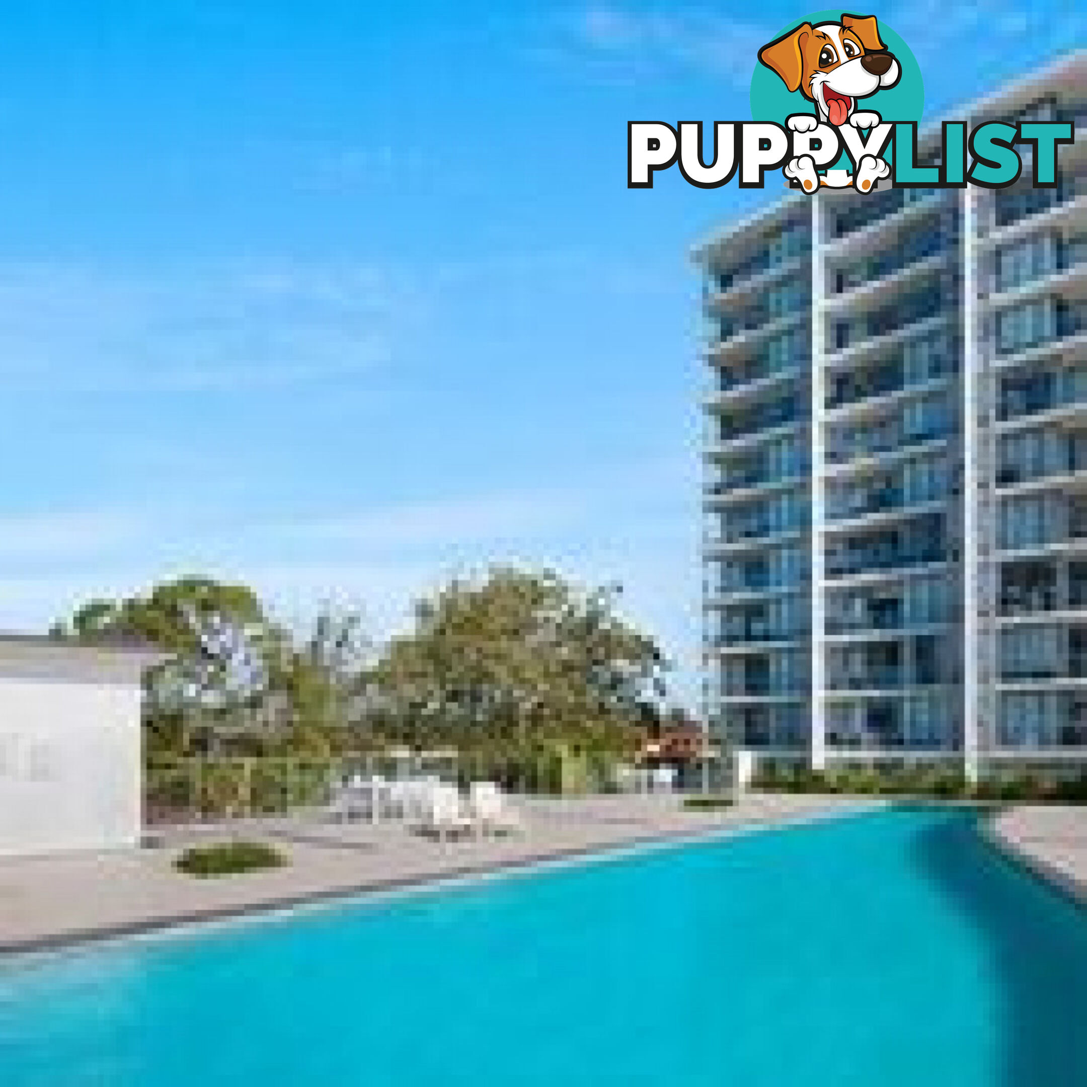 1203/378 Marine Parade Labrador QLD 4215