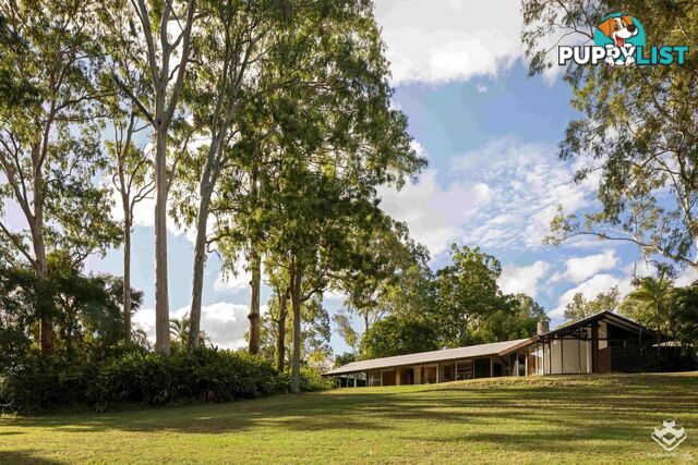 26 Scenic Road Kenmore QLD 4069