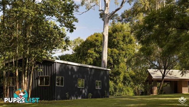 26 Scenic Road Kenmore QLD 4069