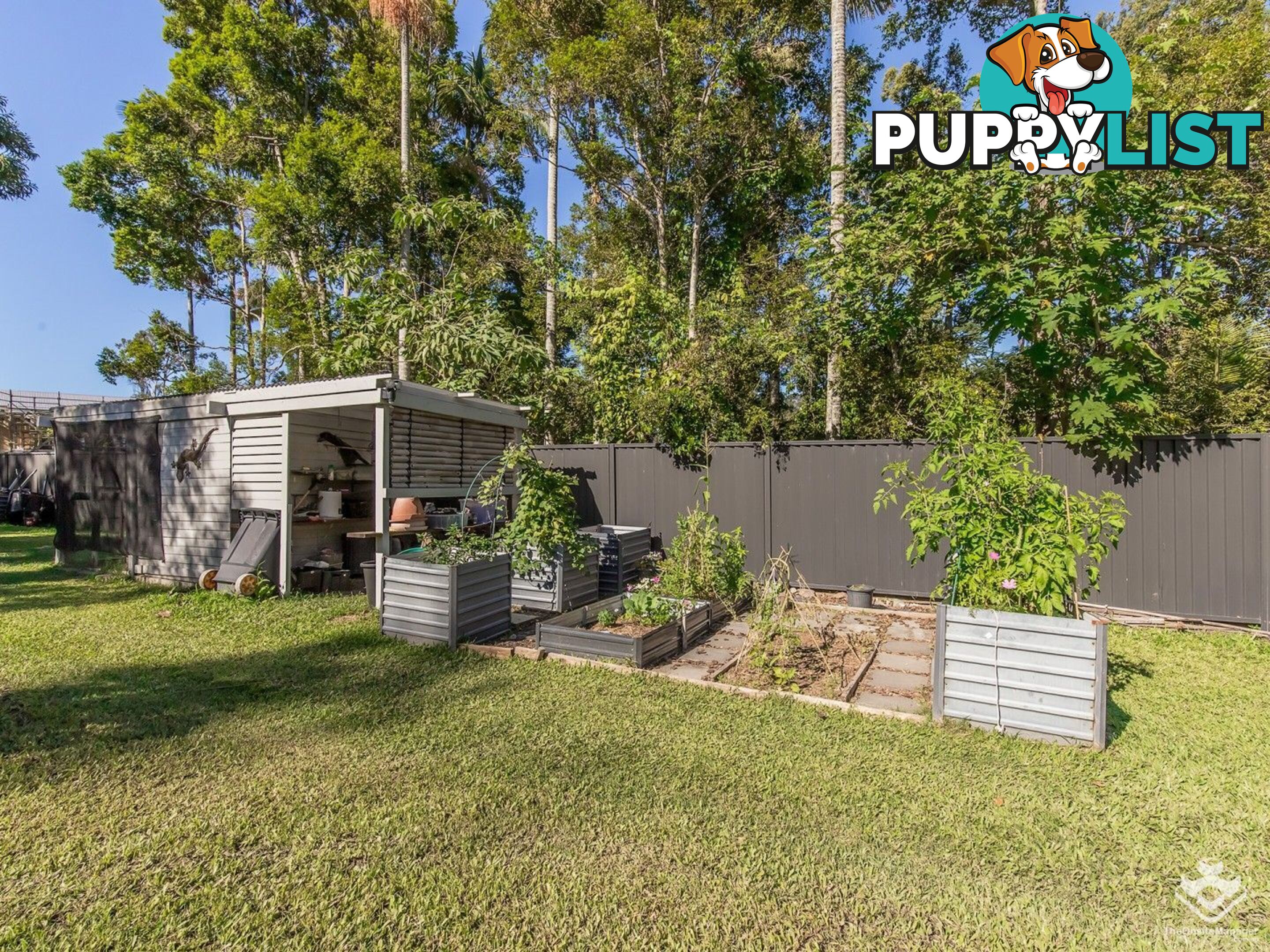 603 Reserve Road Upper Coomera QLD 4209