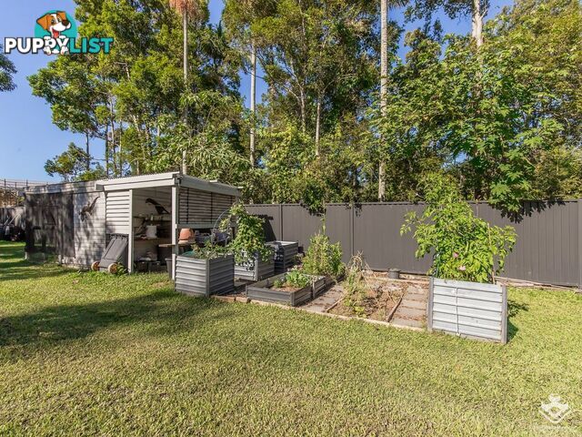 603 Reserve Road Upper Coomera QLD 4209