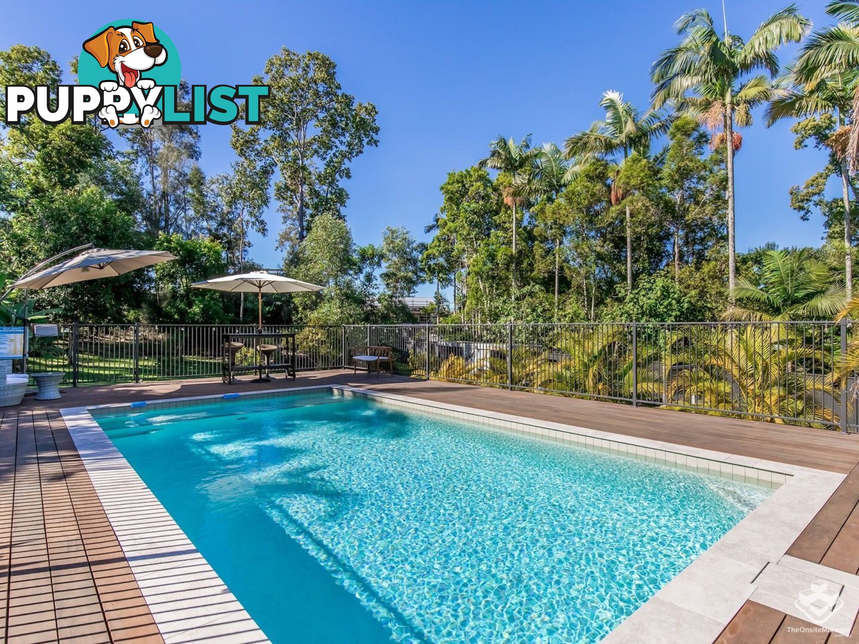 603 Reserve Road Upper Coomera QLD 4209