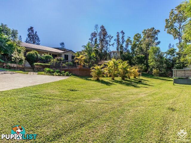 603 Reserve Road Upper Coomera QLD 4209
