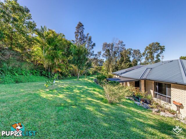 603 Reserve Road Upper Coomera QLD 4209