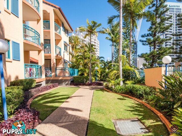 20-26 Anne Avenue Broadbeach QLD 4218