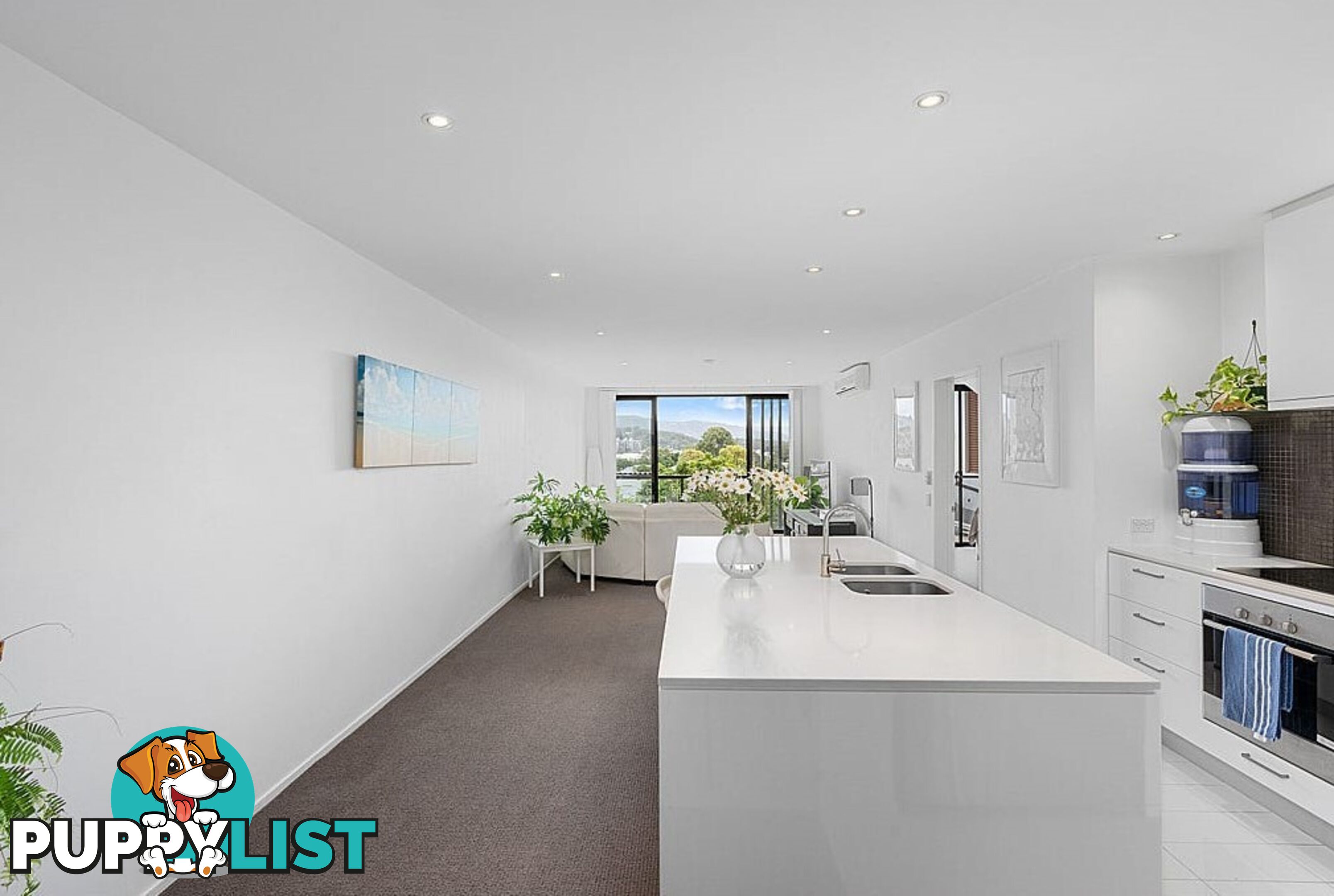 ID:21155099 305 Easthill Drive Robina QLD 4226