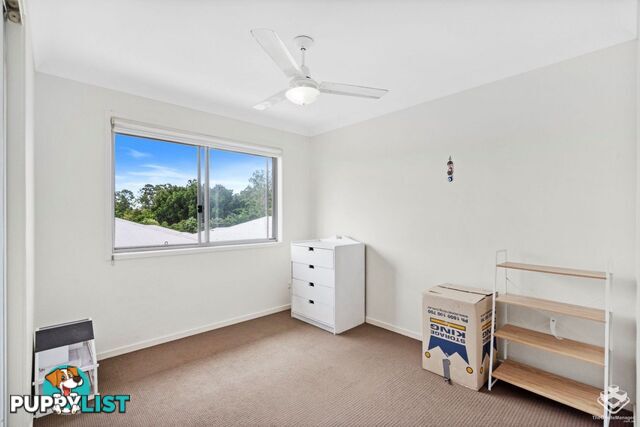 ID:21156652 19 Russell Street Everton Park QLD 4053
