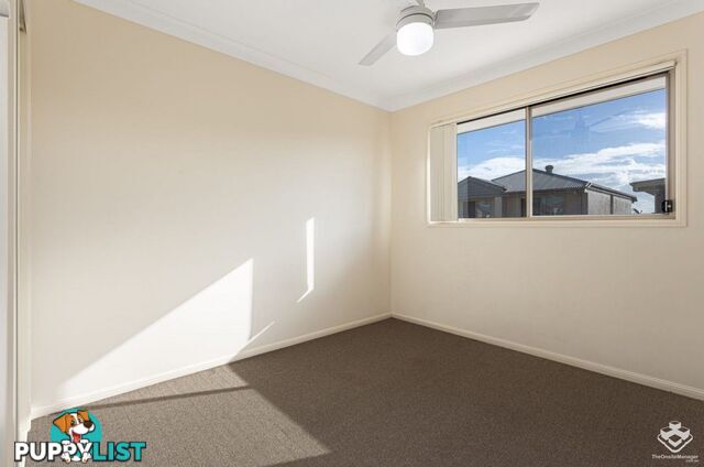 ID:21156498 439 Elizabeth Avenue Kippa-Ring QLD 4021