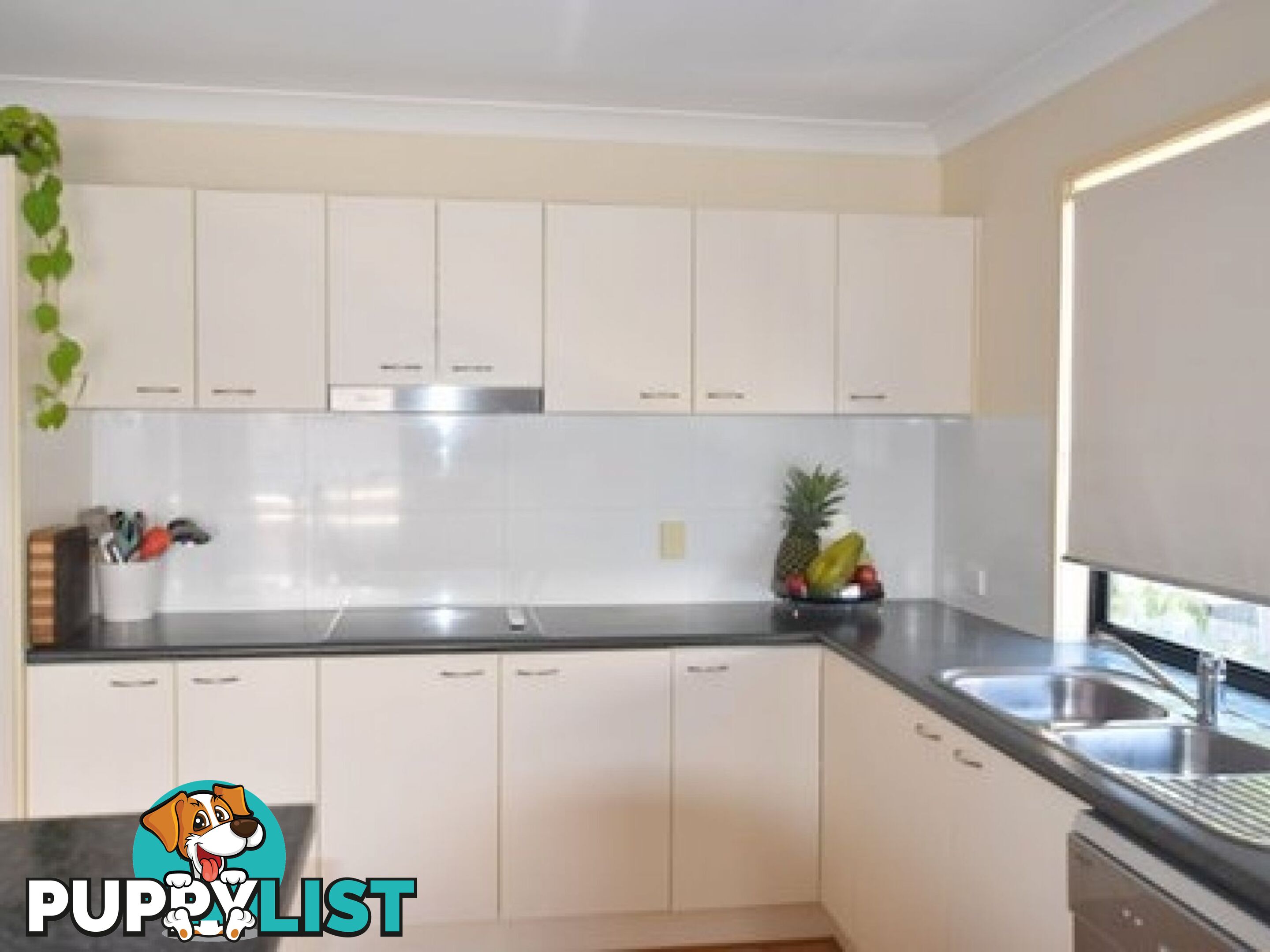 35 Harley Street Labrador QLD 4215