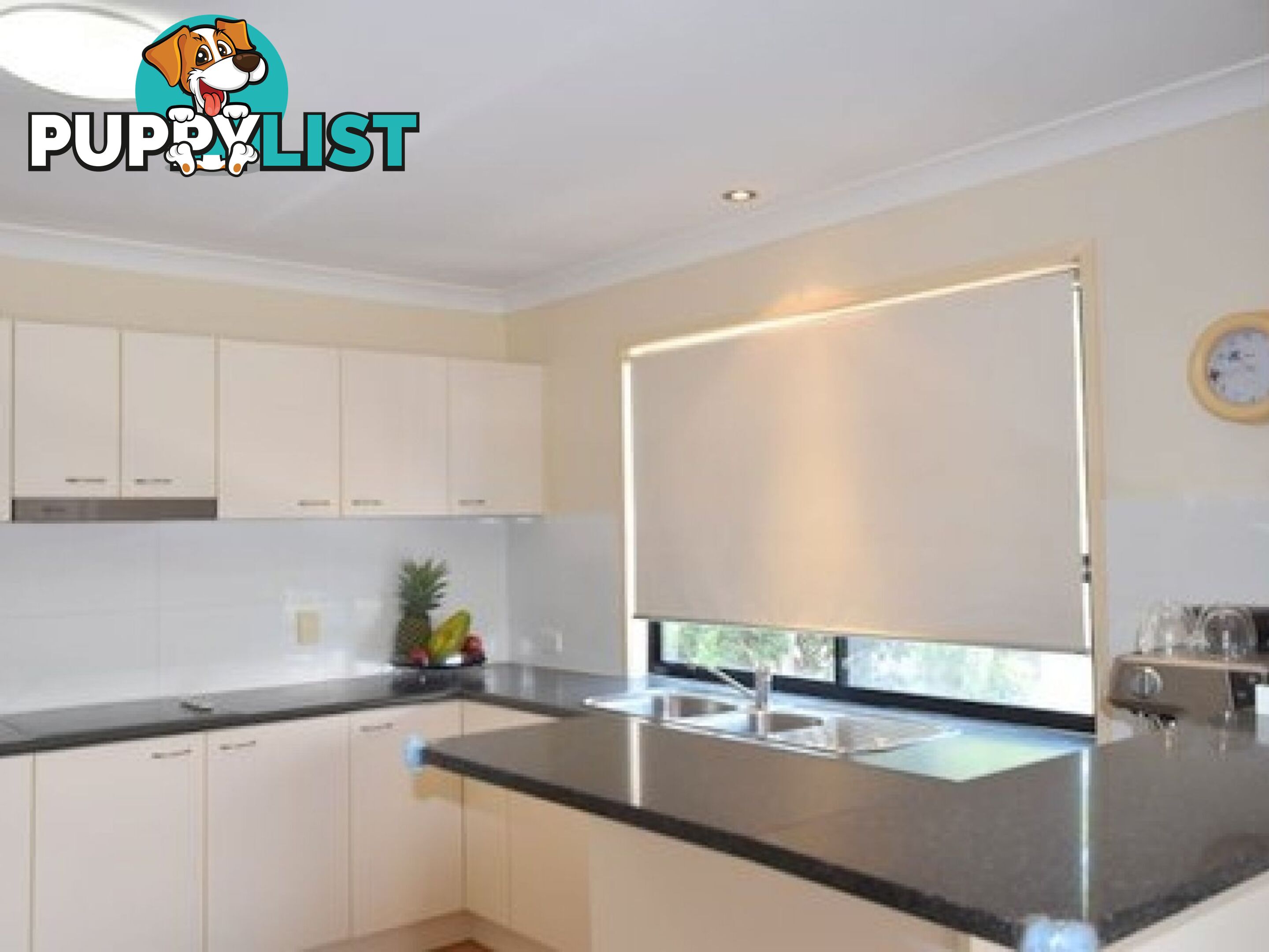 35 Harley Street Labrador QLD 4215