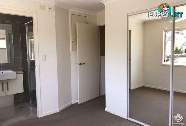 ID:21154952 40 Macdonnell Street Toowong QLD 4066
