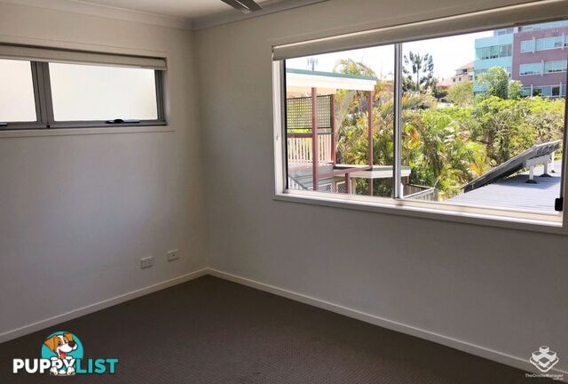 ID:21154952 40 Macdonnell Street Toowong QLD 4066