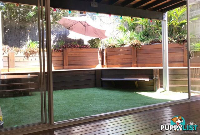 ID:21154952 40 Macdonnell Street Toowong QLD 4066