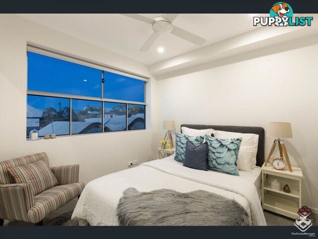 ID:21157000 38 Lowerson Street Lutwyche QLD 4030