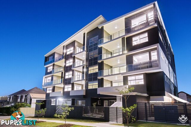 ID:21157000 38 Lowerson Street Lutwyche QLD 4030