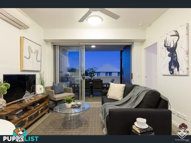 ID:21157000 38 Lowerson Street Lutwyche QLD 4030