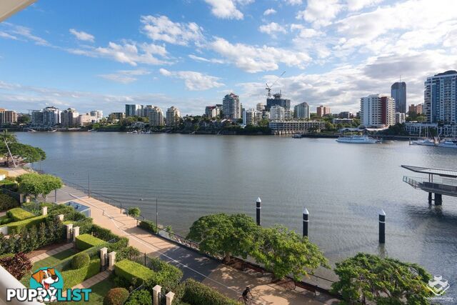 ID:21150227 6 Merthyr Road New Farm QLD 4005