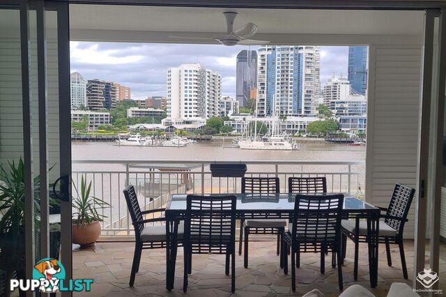 ID:21150227 6 Merthyr Road New Farm QLD 4005