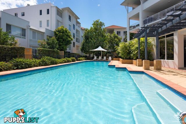 ID:21150227 6 Merthyr Road New Farm QLD 4005
