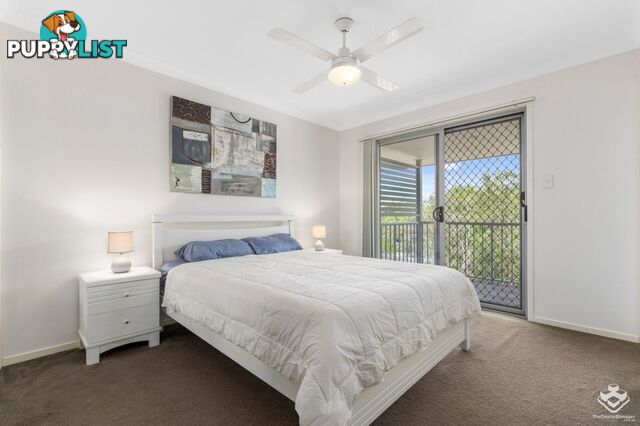 ID:21155195 71 Elkhorn Street Enoggera QLD 4051