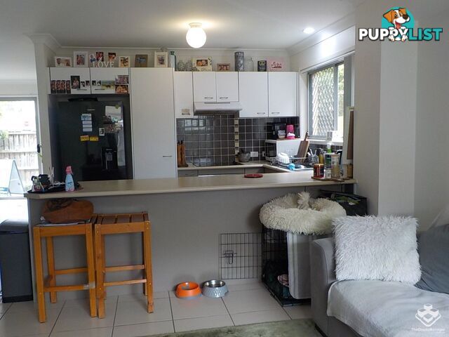 ID:21155195 71 Elkhorn Street Enoggera QLD 4051