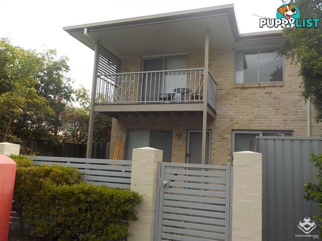 ID:21155195 71 Elkhorn Street Enoggera QLD 4051