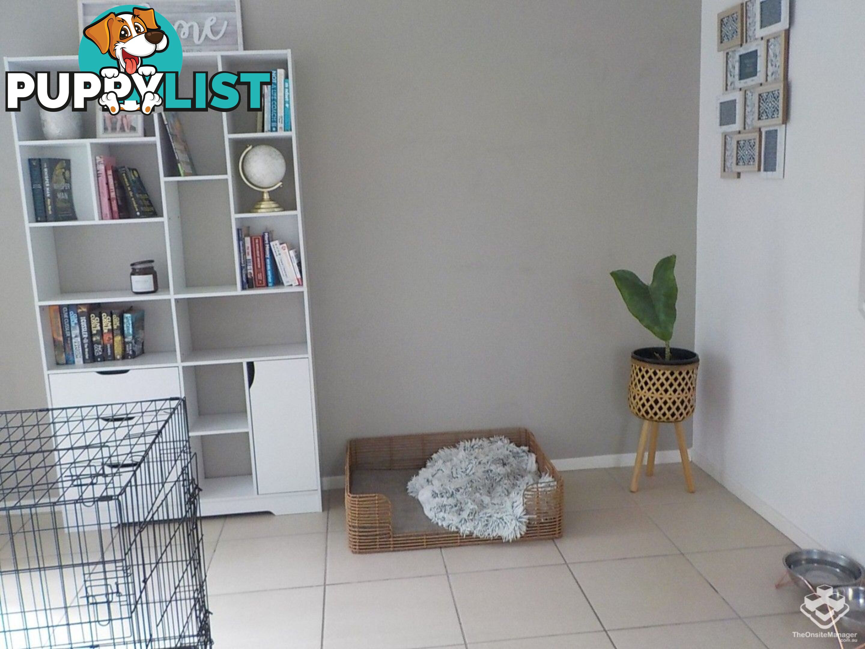 ID:21155195 71 Elkhorn Street Enoggera QLD 4051