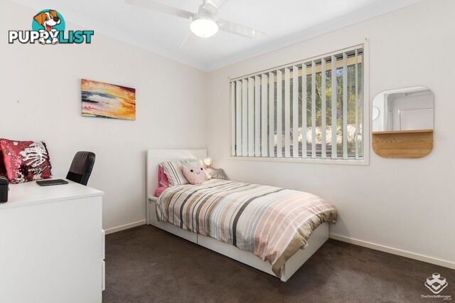 ID:21155195 71 Elkhorn Street Enoggera QLD 4051