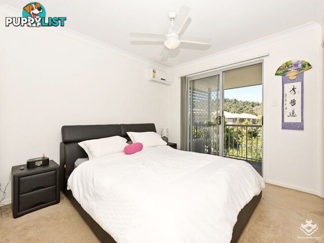ID:21155195 71 Elkhorn Street Enoggera QLD 4051