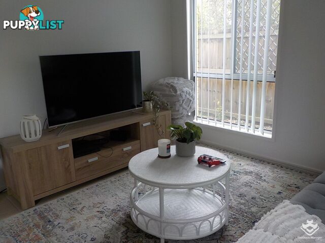 ID:21155195 71 Elkhorn Street Enoggera QLD 4051