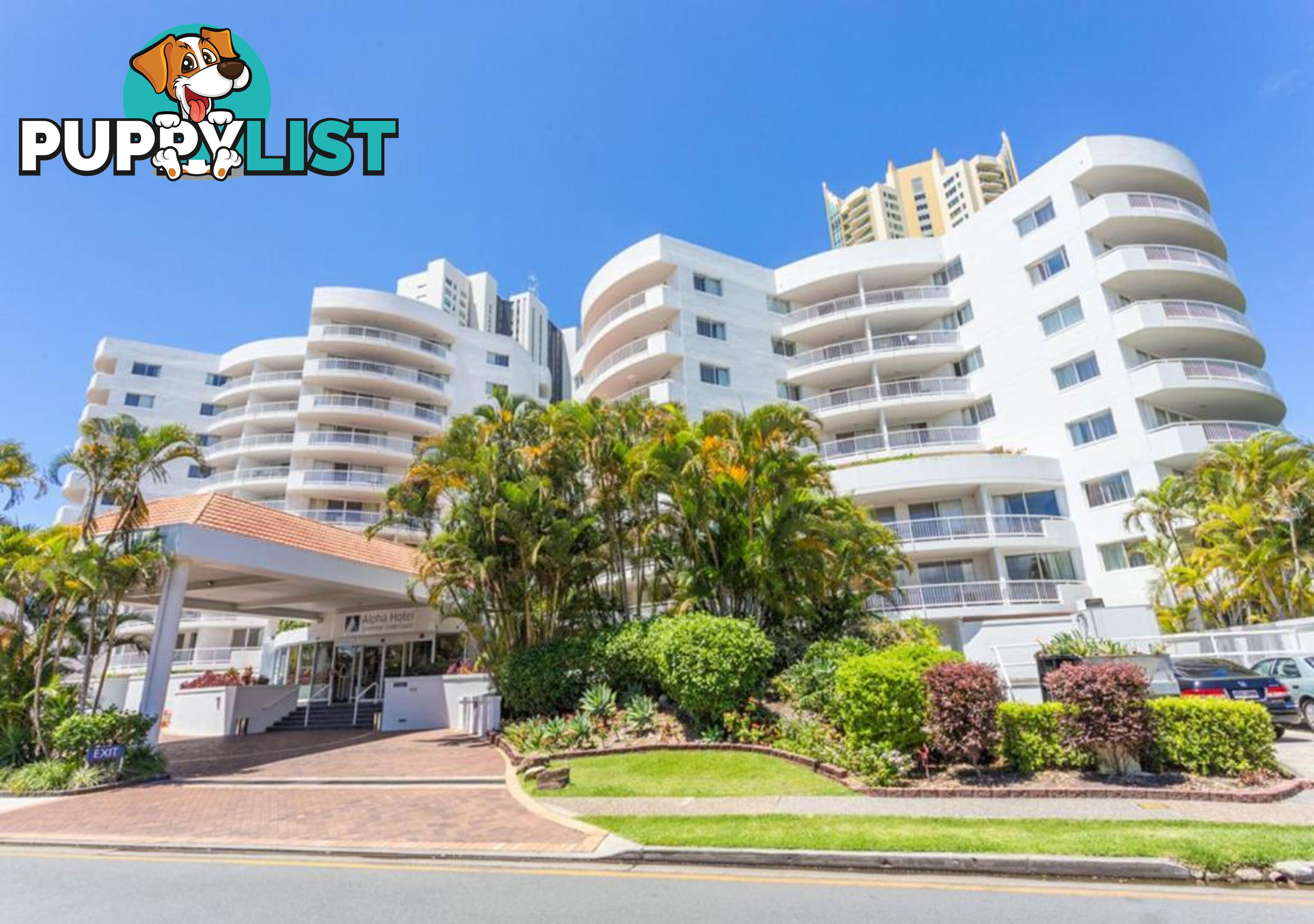 138 Ferny Avenue Surfers Paradise QLD 4217