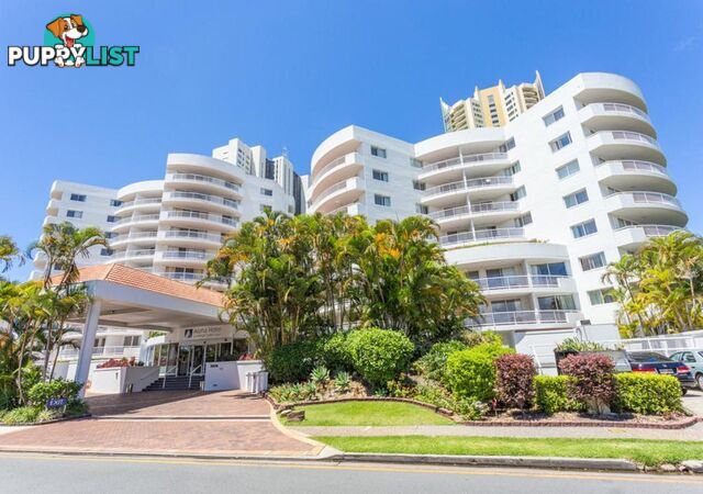 138 Ferny Avenue Surfers Paradise QLD 4217
