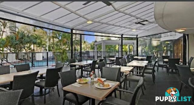 138 Ferny Avenue Surfers Paradise QLD 4217