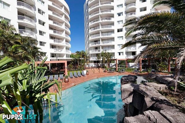 138 Ferny Avenue Surfers Paradise QLD 4217