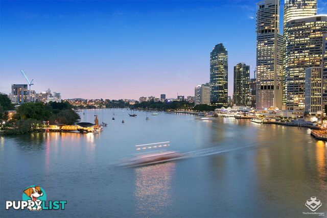 ID:21086764 32 Macrossan Street Brisbane City QLD 4000