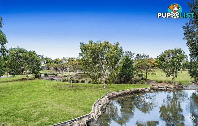 U16 / 123 Barrack Road Cannon Hill QLD 4170