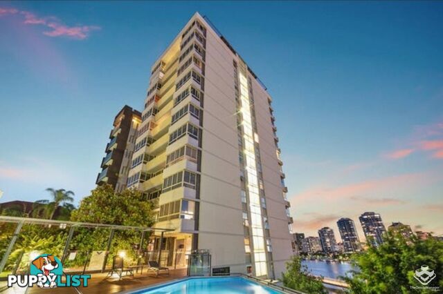 ID:21156076 79 Moray Street New Farm QLD 4005