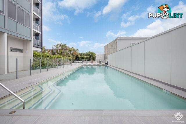 ID:21155291 16 Hamilton Place Bowen Hills QLD 4006